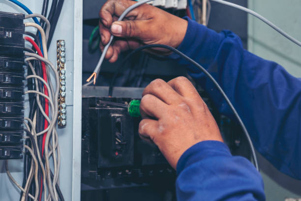 Best Local Electrician Companies  in Treasure Island, FL